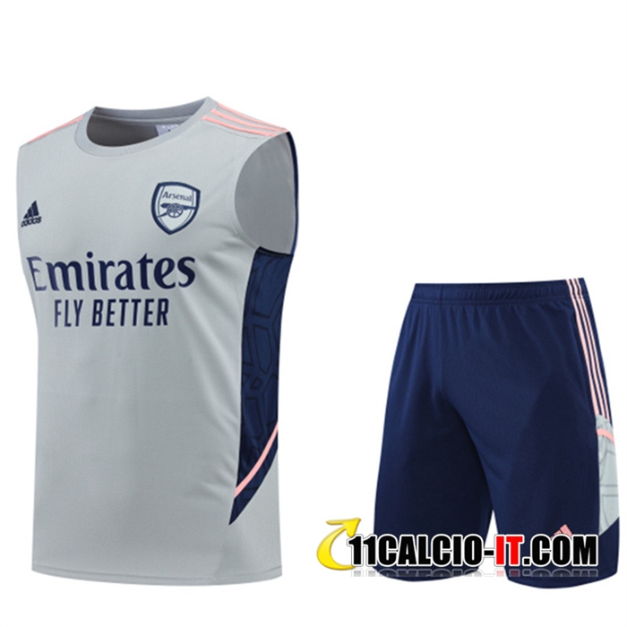 Tutte Le Kit Canotta Allenamento Pantaloncini Arsenal Grigio 2022 2023